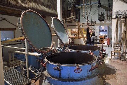 France, Alpes-de-Haute-Provence (04), La Mure-Argens, Véronique Blanc cultive et transforme la lavande en huile essentielle