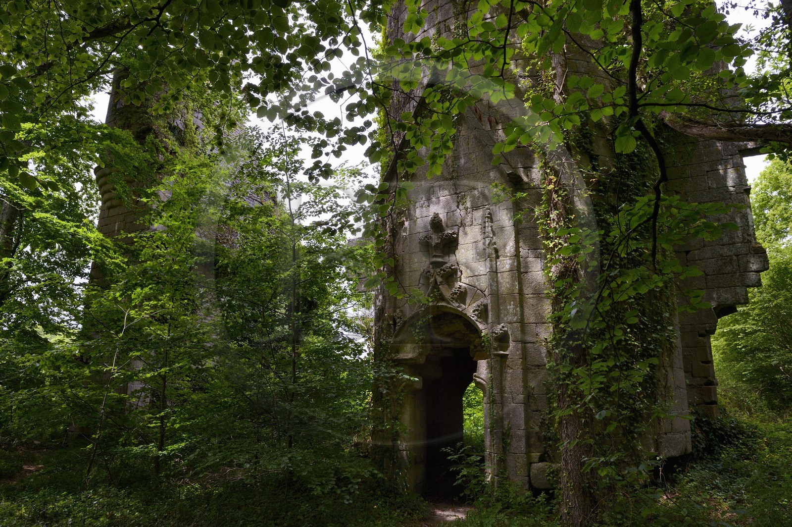 France, Finistère (29), Pont-Aven, Nizon, chateau de Rustephan, ancien manoir du XVe et du XVIe siècle en ruine