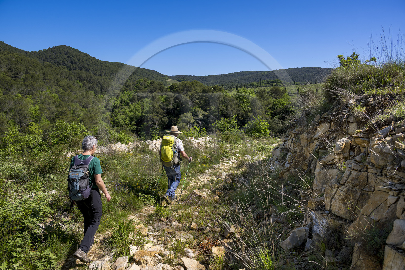 France, Vaucluse (84), Dentelles de Montmirail, Gigondas, randonneurs sur un sentier au coeur du massif en direction du Pas de l'Aigle