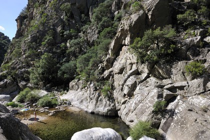 France, Hérault (34), Mons la Trivalle,  les gorges d'Héric dans le massif du Caroux au cœur du Parc naturel régional du Haut-Languedoc