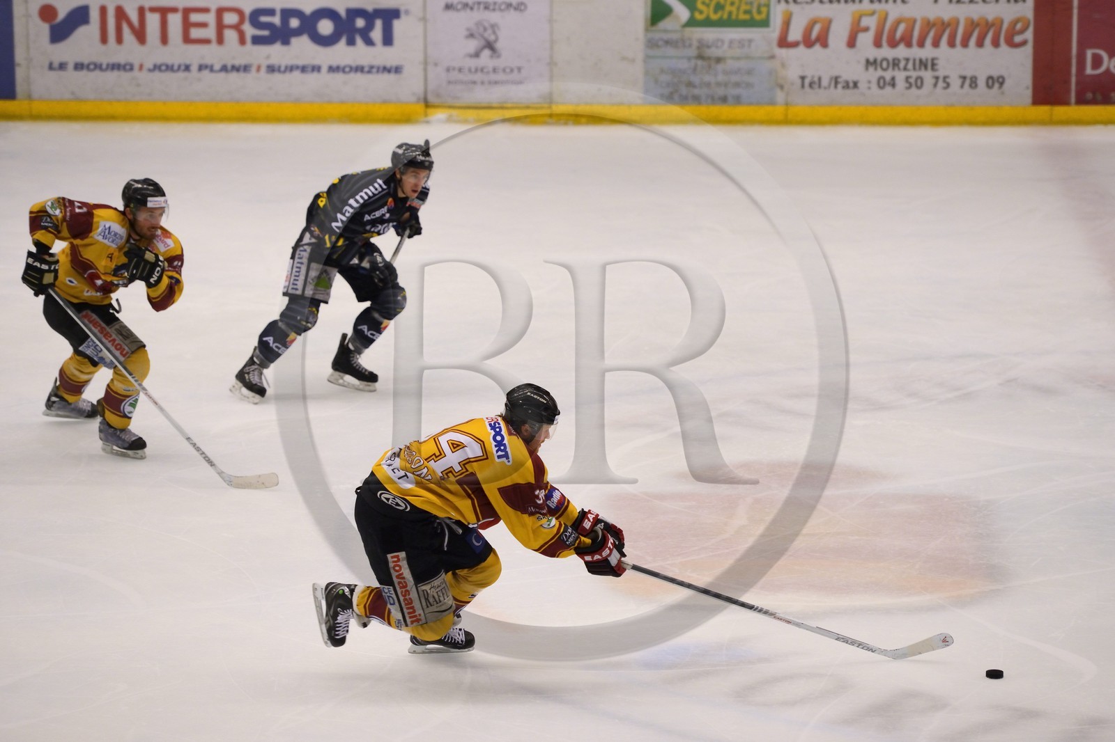 France, Haute-Savoie (74), Morzine, match de hockey sur glace du Hockey Club Morzine-Avoriaz appelé les Pingouins
