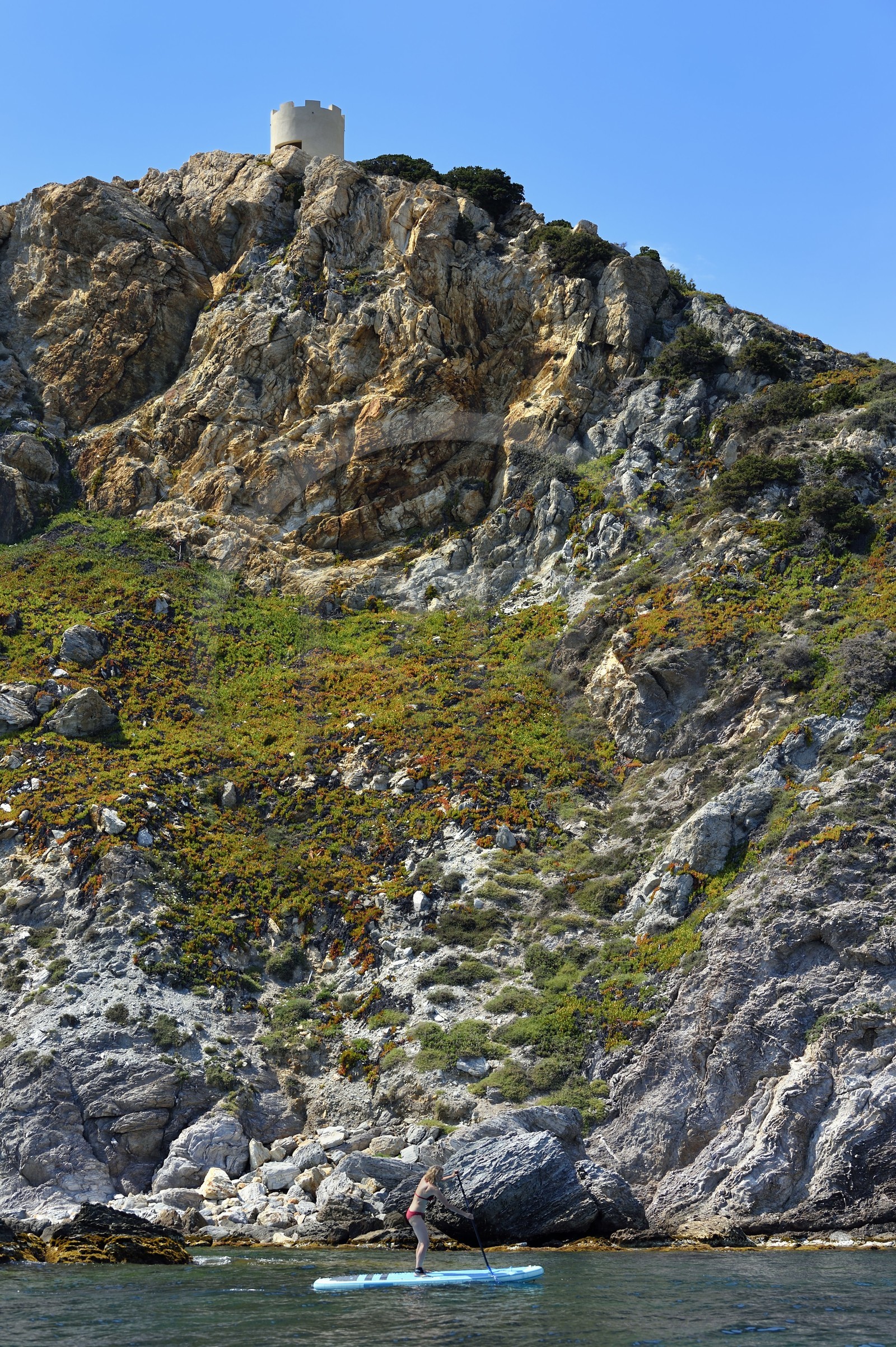 France, Var (83), Six-Fours-les-Plages, Ile des Embiez, Pointe du Coucoussa surplombée par la Tour de la Marine, randonnée aquatique sur un paddle