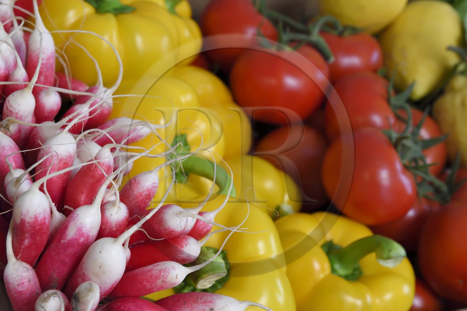 France, Alpes-Maritimes (06), Antibes, panier de légumes