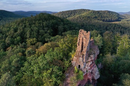 France, Bas-Rhin (67), Parc naturel r