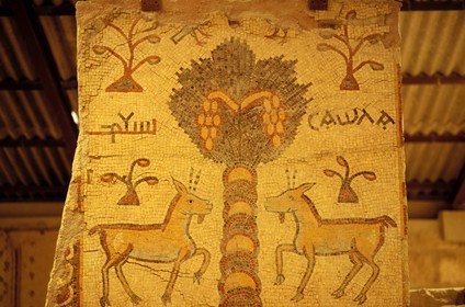 Jordanie, le Mont Nébo, Mosaïques byzantines de 531 après J.C.