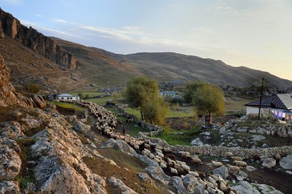 Azerbaïdjan, région de Quba (Guba), chaine de montagne du Grand Caucase, village de Giriz à l'aube, départ des moutons pour les prés