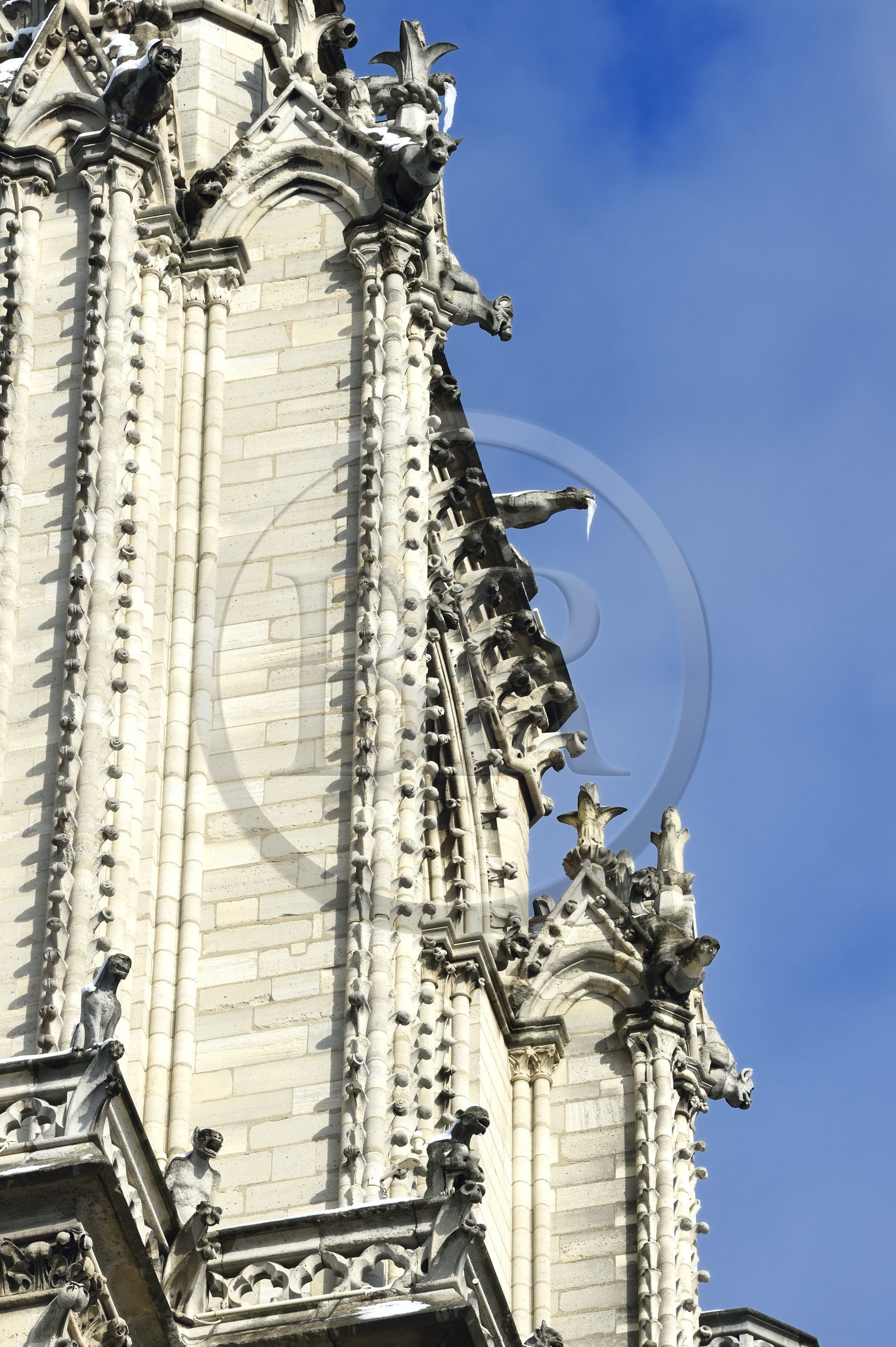 France, Paris (75), les rives de la Seine, classées Patrimoine Mondial de l'UNESCO, la Cathédrale Notre-Dame sous la neige sur l'Ile de la Cité, gargouilles