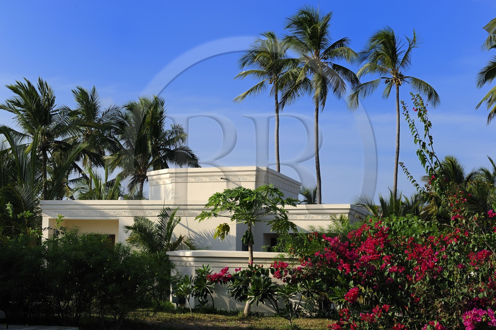 Tanzanie, archipel de Zanzibar, île de Unguja (Zanzibar), côte Sud-Est, Bwejuu, le luxueux Baraza Resort & Spa, un bungalow