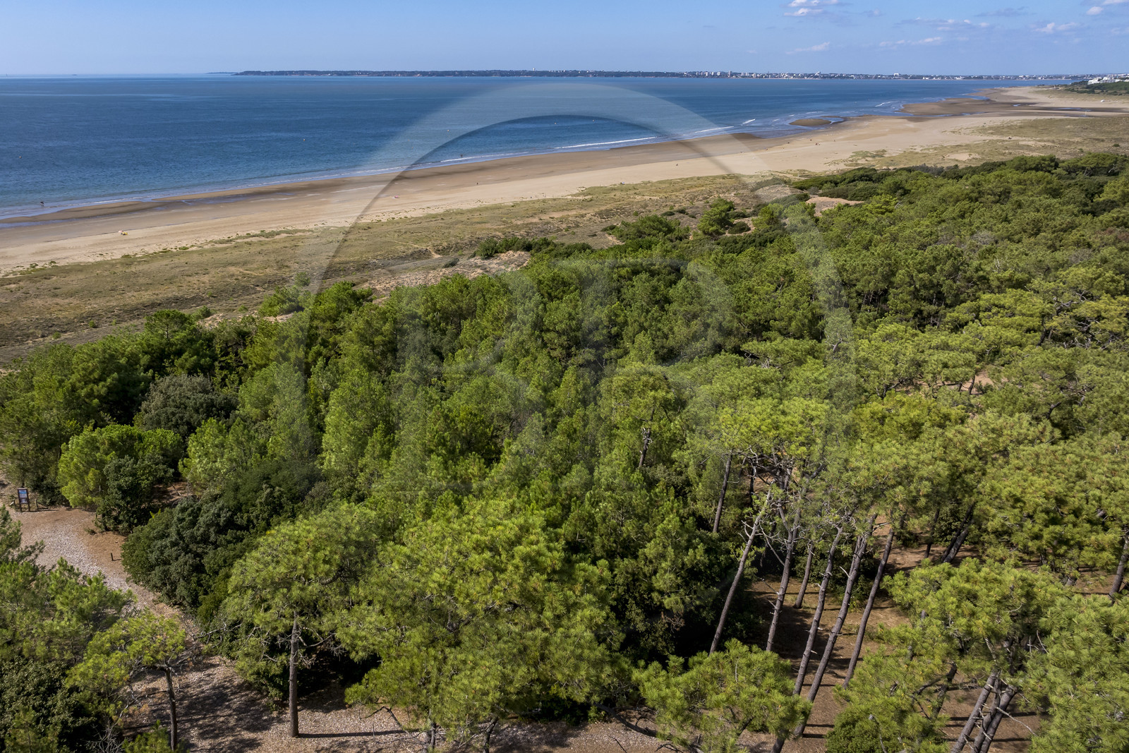France, Loire-Atlantique (44), Saint-Brévin-Les-Pins, forêt de la Pierre Attelée (vue aérienne)