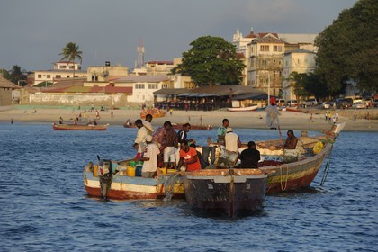 Tanzanie, archipel de Zanzibar, île de Unguja (Zanzibar), ville de Zanzibar, quartier Stone Town, classé Patrimoine Mondial de l' UNESCO, pêcheurs devant la plage