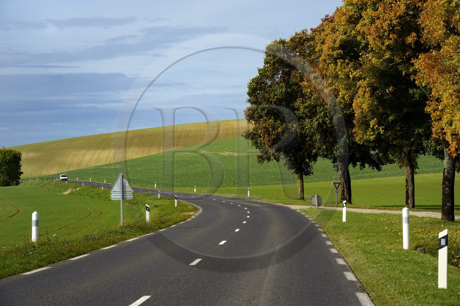 France, Meuse (55), région de Verdun, la route départementale D964