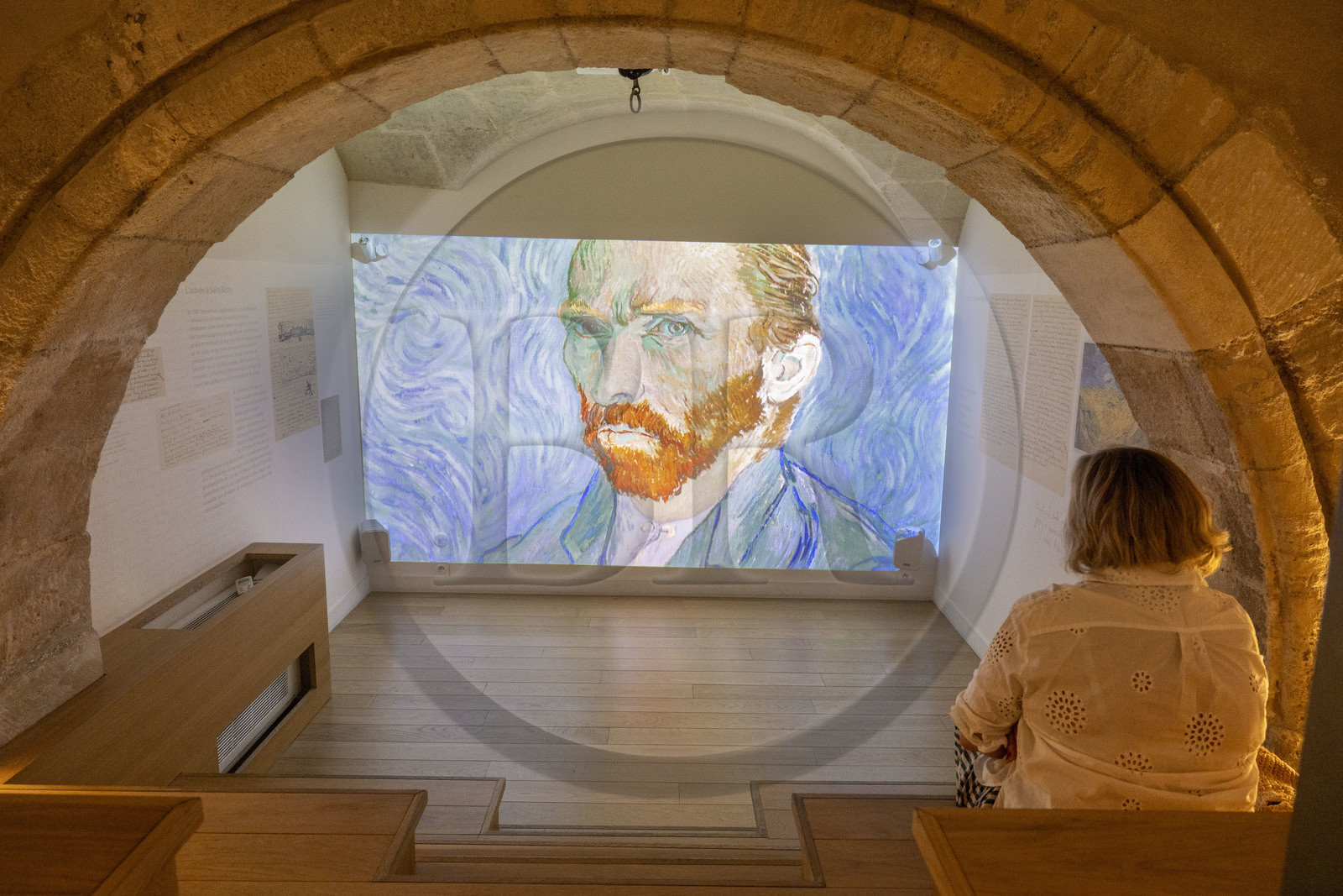 France, Bouches-du-Rhône (13), Parc Naturel Régional des Alpilles, Saint-Rémy-de-Provence, musée Estrine, présentation de Van Gogh