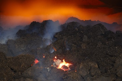 Royaume-Uni, Ecosse, Iles Orcades, Kirkwall, distillerie de whisky Highland Park, feu de tourbe