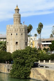 Espagne, Andalousie, Séville, en bordure du fleuve Guadalquivir, la Tour de l'Or (Torre del Oro), ancienne tour d'observation militaire construite au début du XIIIe siècle reconvertie en musée maritime