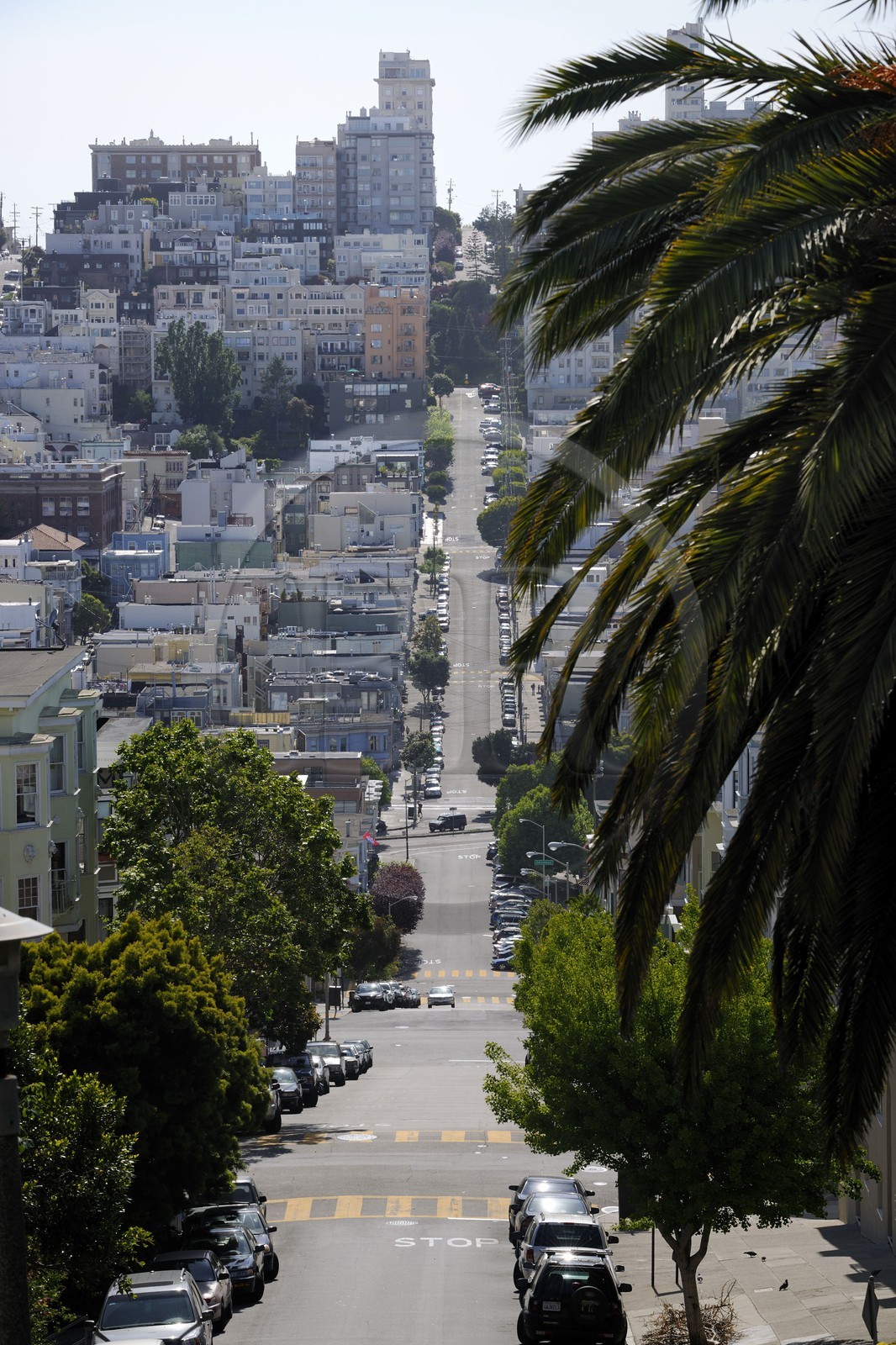 Etats-Unis, Californie, San Francisco, Lombard street dans le quartier de North Beach