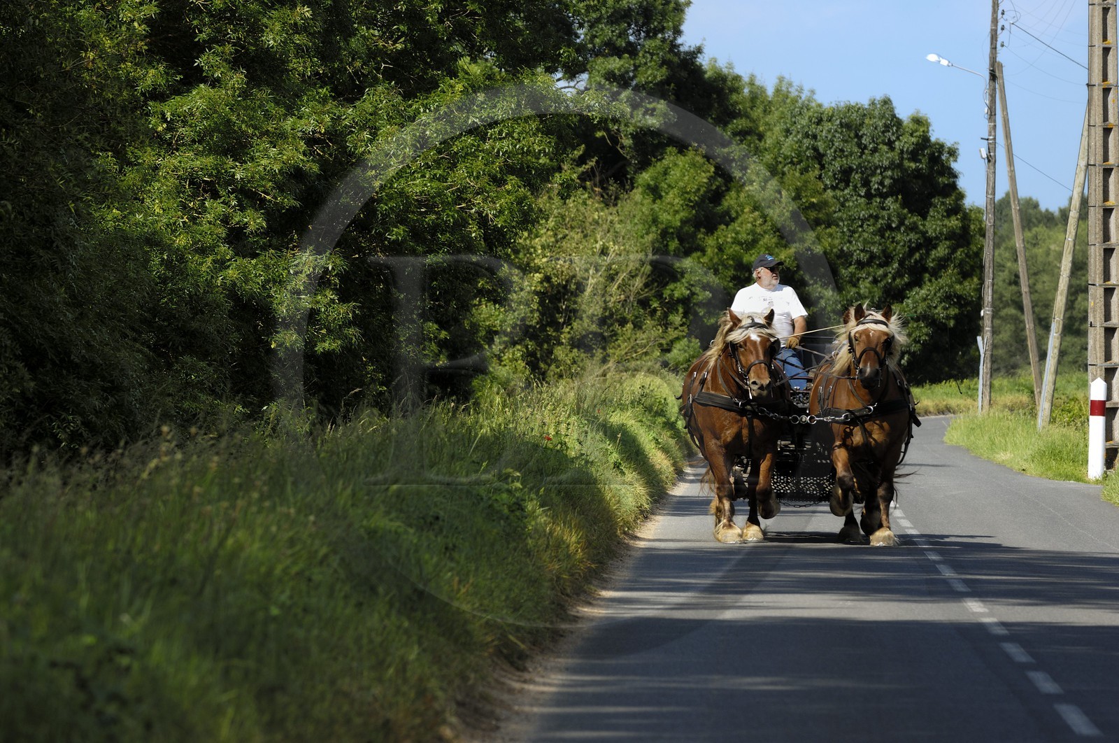 France, Indre et Loire (37), Vallée de la Loire classée Patrimoine Mondial de l' UNESCO, Bréhémont