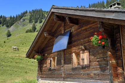 Suisse, canton de Vaud, Villars-sur-Ollon, randonnée du col de Bretaye au col de la Croix en passant par le hameau d'Ensex, chalet équipé d'un panneau solaire photovoltaïque dans le hameau d'Ensex