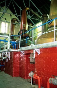 Royaume-Uni, Ecosse, îles Orcades, distillerie de whisky Highland Park, alambics en cuivre traditionnel pour la double distillation du whisky