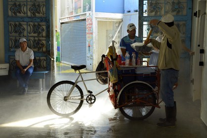 Panama, Panama City, quartier de Santa Ana, le marché aux poisson (Mercado de Mariscos), chargement de glace dans le triporteur d'un vendeur ambulant