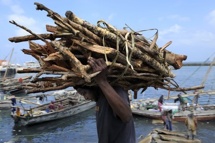 Tanzanie, archipel de Zanzibar, île de Unguja (Zanzibar), ville de Zanzibar, quartier Stone Town, classé Patrimoine Mondial de l' UNESCO, port des dhows (boutres traditionnels), déchargement de bois