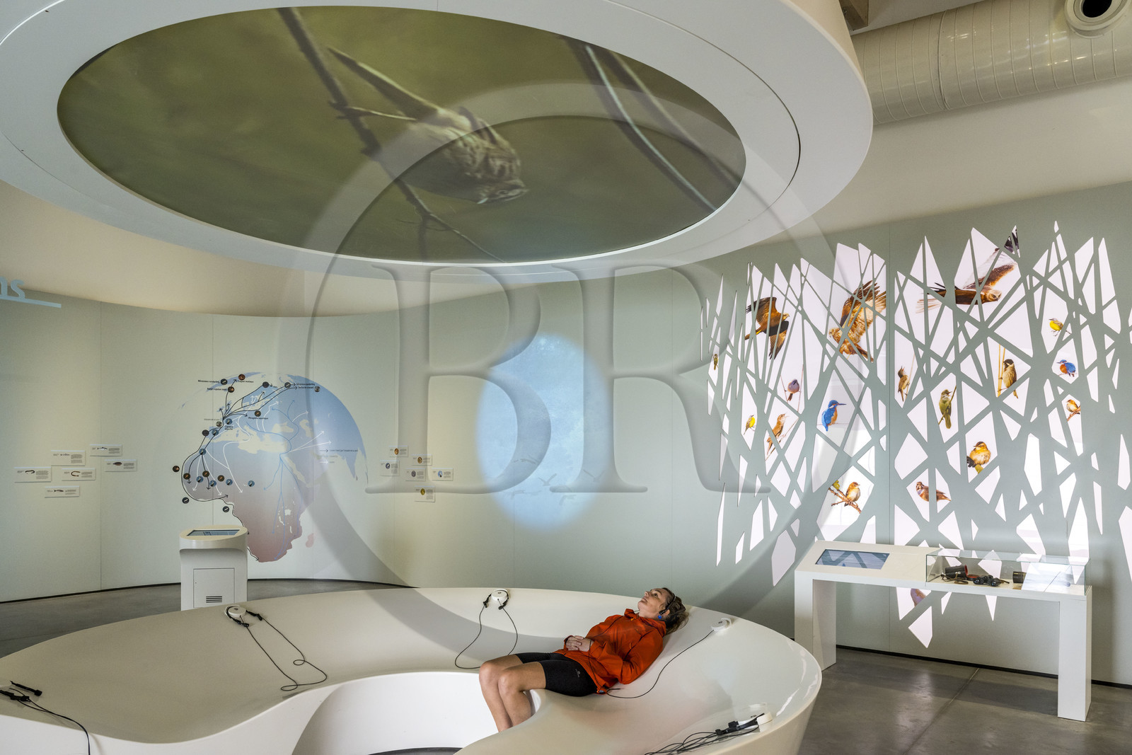 France, Loire-Atlantique (44), Cordemais, le centre de découverte Terre d’Estuaire, suivre la migration des oiseaux de l’estuaire