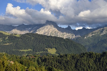 Suisse, canton de Vaud, Villars-sur-Ollon, panorama sur le massif de l'Argentine surplombant Solalex