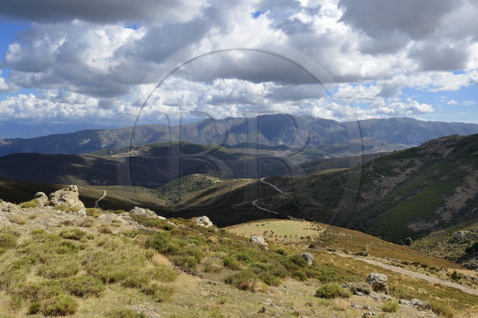 France, Haute-Corse (2B), Balagne, vallée du Giussani dans le parc naturel régional
