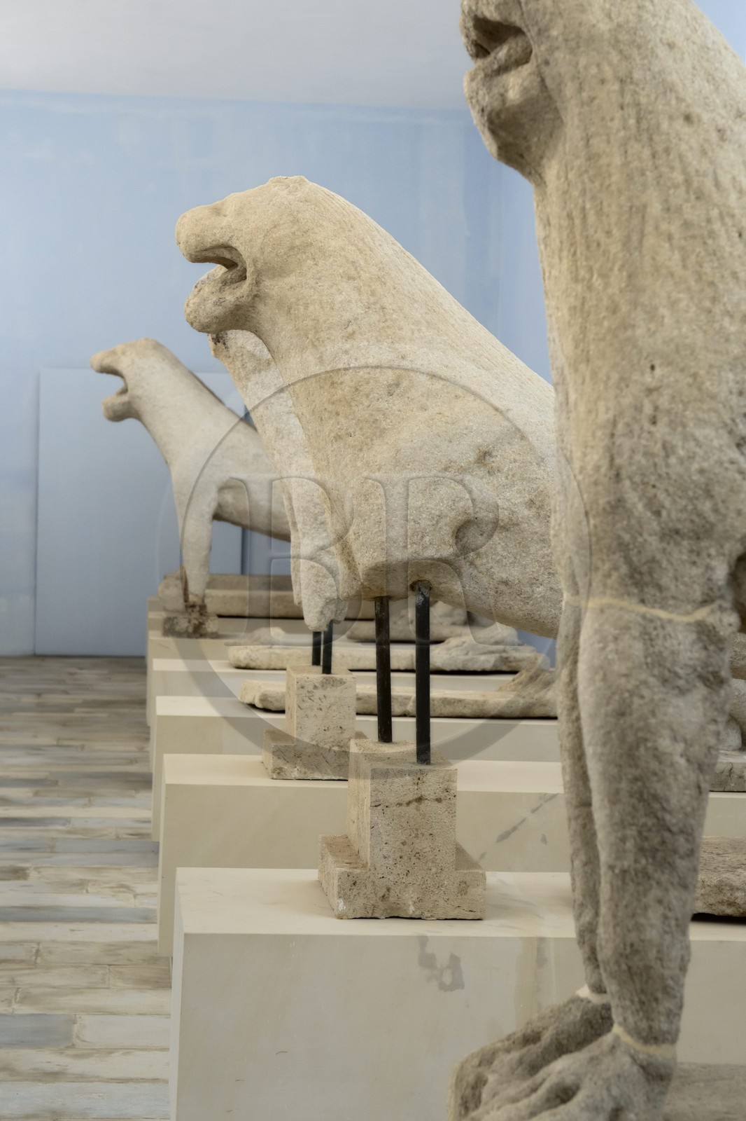 Grèce, île de Delos, classée Patrimoine Mondial de l'UNESCO, site archéologique de Délos, le musée archéologique, les lions de Délos