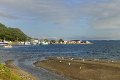 Canada, province de Terre-Neuve et Labrador, Ile de Terre-Neuve, fjord de Corner Brook, sur les traces du capitaine Cook, village de pêcheurs Frenchman's Cove