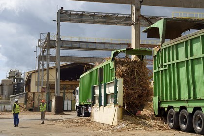 France, Ile de la Reunion, Saint-Louis, l'usine sucrière du Gol, déchargements de la canne à sucre des cachalots (camions ou remorques)