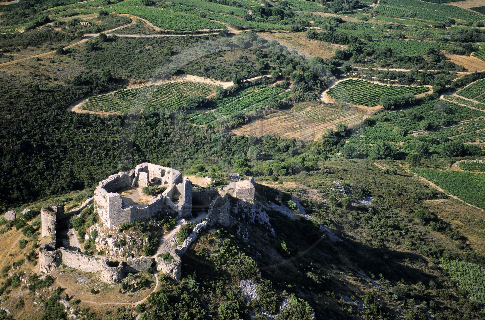 France, Aude (11), ruines du château cathare d'Aguillar dominant les vignes de Tuchan dans les Corbières (vue aérienne)