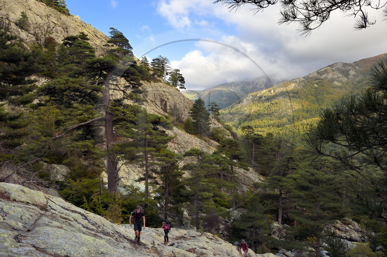 France, Haute-Corse (2B), Vivario, GR 20, étape entre le refuge de l'Onda et Vizzavona, foret de Vizzavona, les cascades des anglais, groupe de cascades dans la vallée de l'Agnone