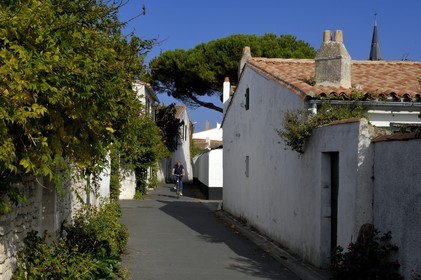 France, Charente-Maritime (17), ile de Ré, La Couarde-sur-Mer