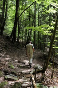 France, Vosges (88), chemin des passeurs au Donon sur la trace de la filière d'évasion du Rehtal
