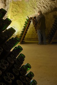 France, Marne (51), Reims le champagne, les caves du Domaine Pommery