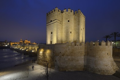 Espagne, Andalousie, Cordoue, centre historique classé Patrimoine Mondial de l'UNESCO, la Tour de la Calahorra, le pont romain sur le Guadalquivir du Ier siècle avant JC et la mosquée cathédrale en arrière plan