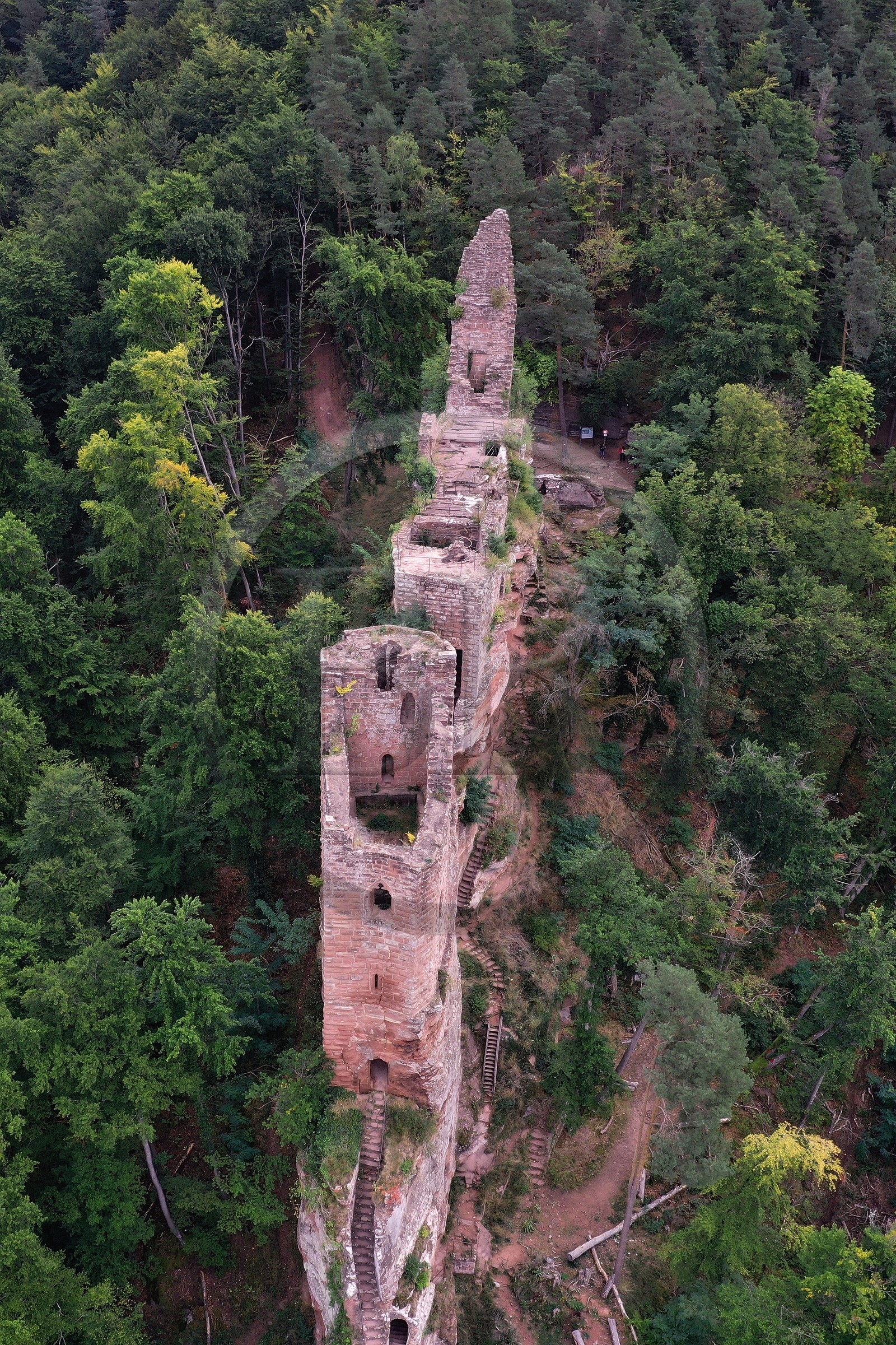 France, Bas-Rhin (67), Parc naturel r