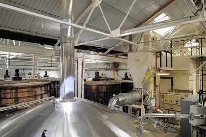 Royaume-Uni, Ecosse, Iles Orcades, Kirkwall, distillerie de whisky Highland Park, le brassage du grist mélangé avec de l'eau chaude a lieu dans de grands baquets en bois appelés mash tun