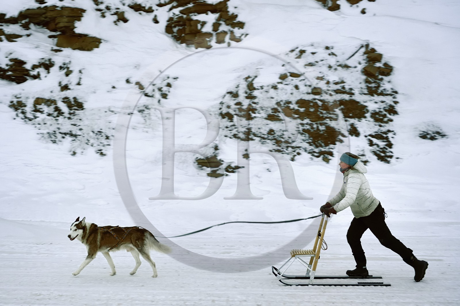 Norvège, Svalbard, Spitzberg, Longyearbyen, promenade avec son chien en traineau