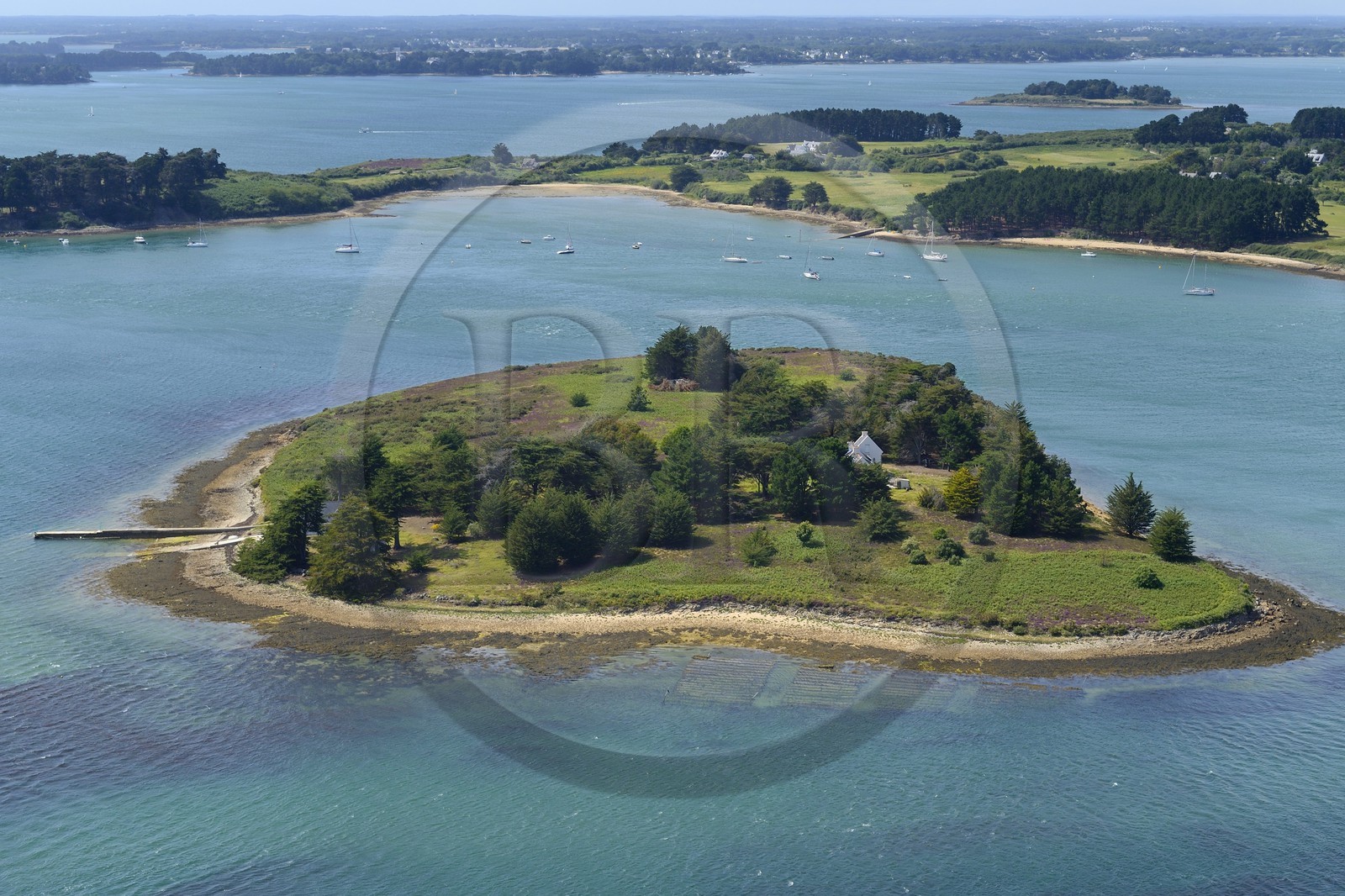 France, Morbihan (56), Golfe du Morbihan, Ile Brannec (vue aérienne)