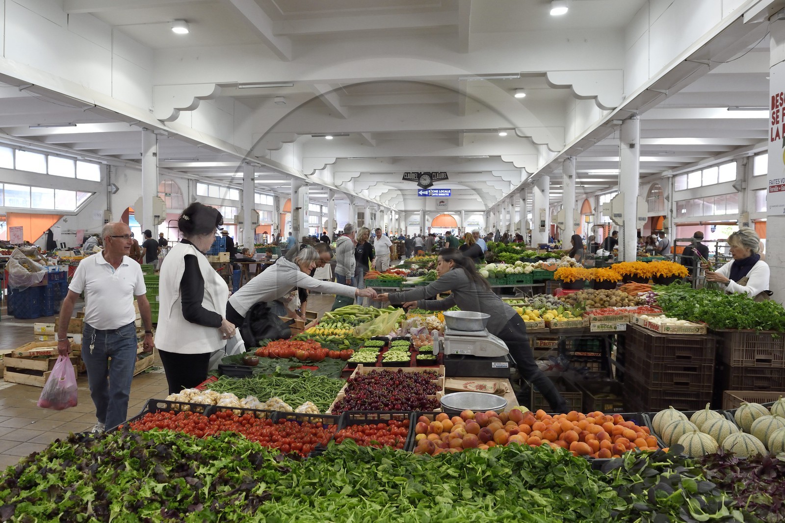 France, Alpes-Maritimes (06), Cannes, le marché Forville