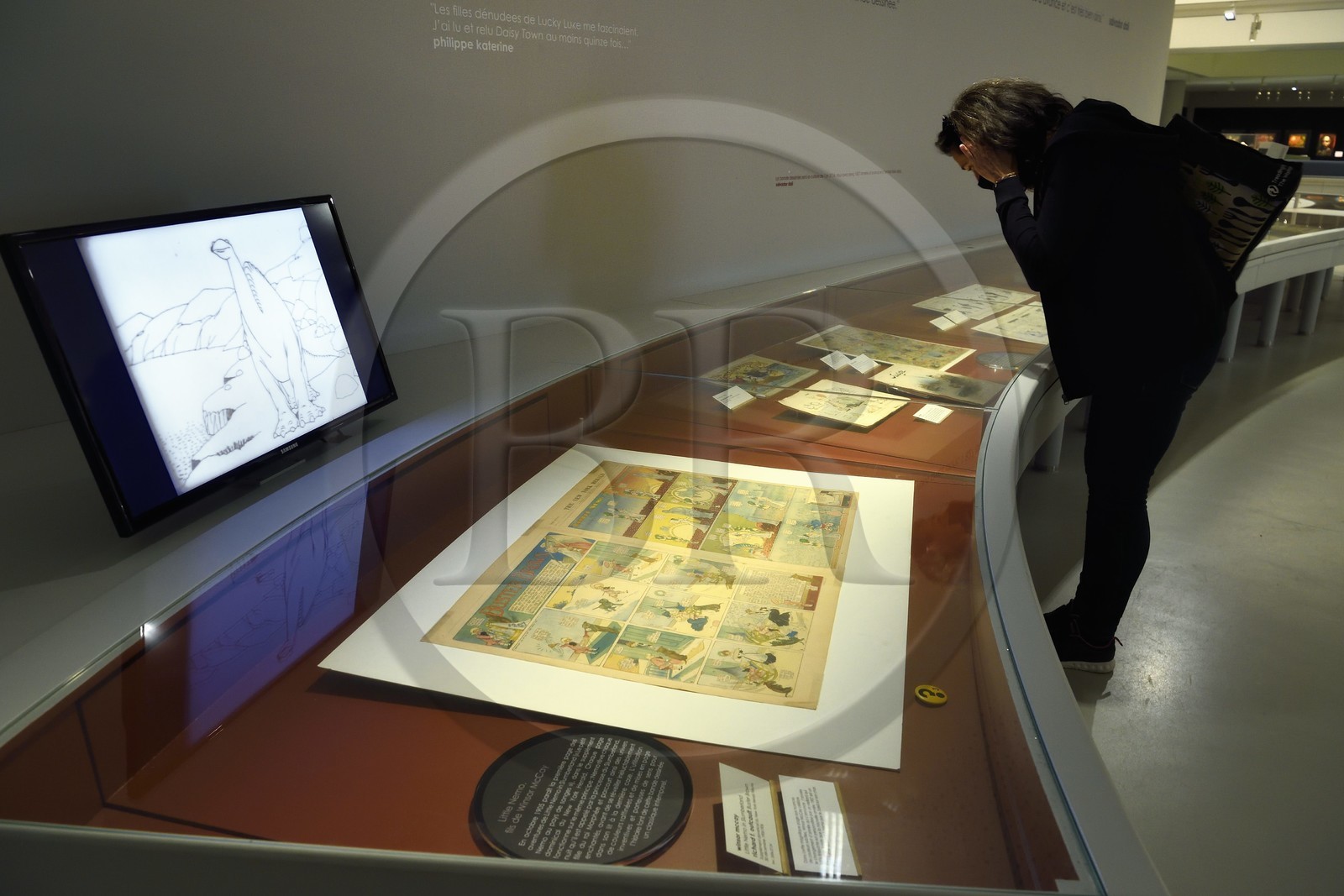 France, Charente (16), Angoulême, Cité internationale de la bande dessinée et de l’image (CIBDI), le musée de la BD dans les anciens chais Magélis, planche de Little Nemo de Windsor McCay (1906)