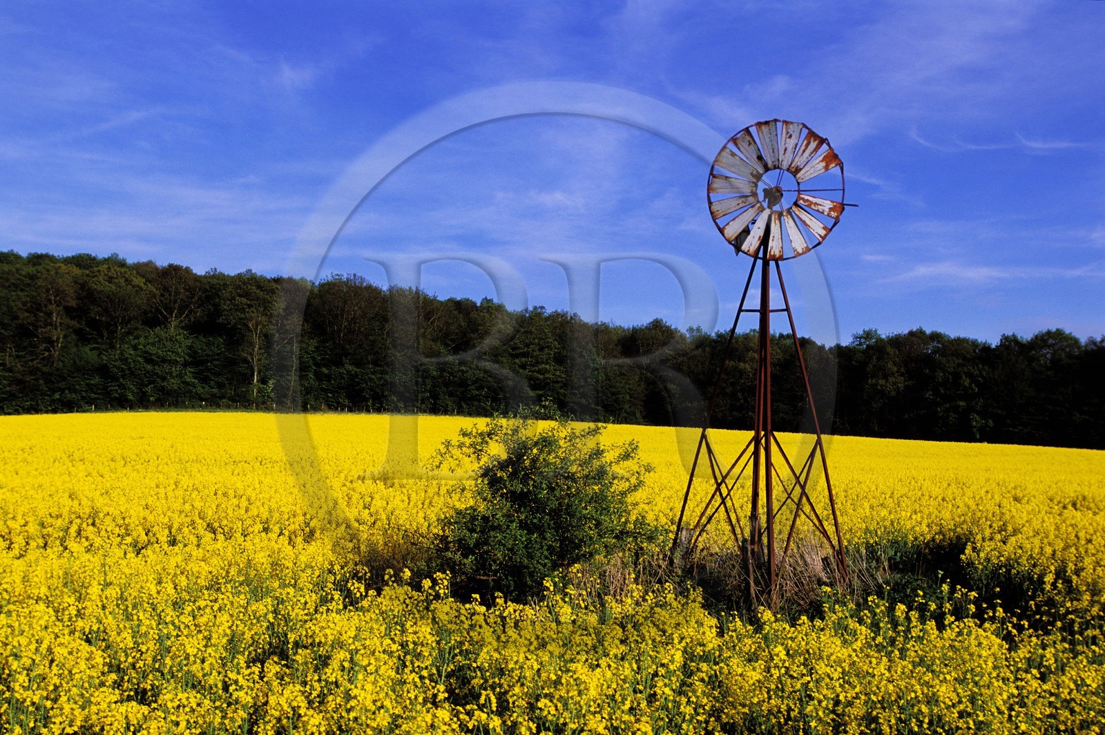 France, Côte-d'Or (21), région Sainte-Sabine, une éolienne dans un champ