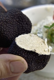 France, Var (83), Aups, restaurant Le Provençal, recette à base de truffes d'été